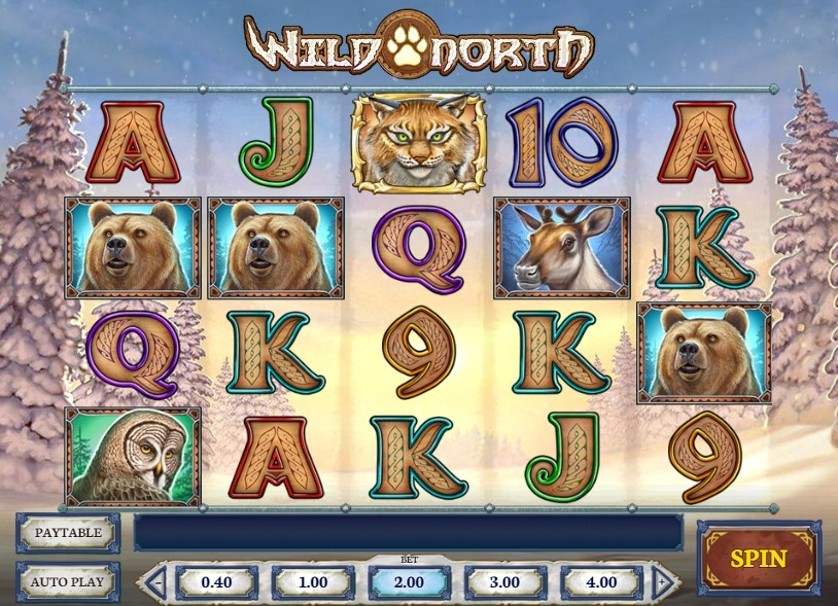 Wild North -kolikkopelin pohjoisteemainen kuva