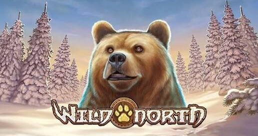 Wild North -kolikkopelin bonusaiheinen kuva
