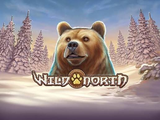 Wild North kolikkopeli – RTP, ominaisuudet ja bonukset